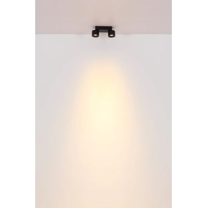 Globo - LED Kohtvalgusti 2xLED/6W/230V must