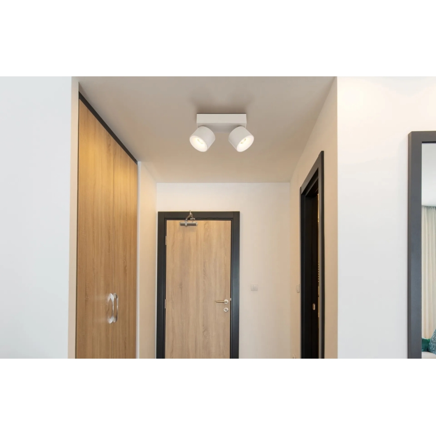 Globo - LED suunavalgusti 2xLED/6W/230V