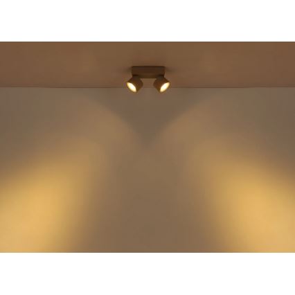 Globo - LED suunavalgusti 2xLED/6W/230V