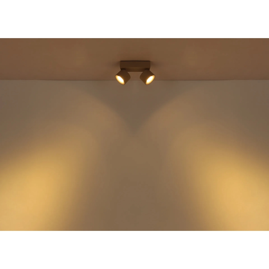 Globo - LED suunavalgusti 2xLED/6W/230V