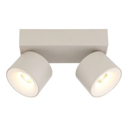 Globo - LED suunavalgusti 2xLED/6W/230V