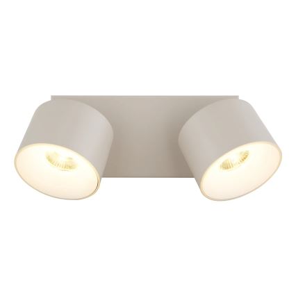 Globo - LED suunavalgusti 2xLED/6W/230V