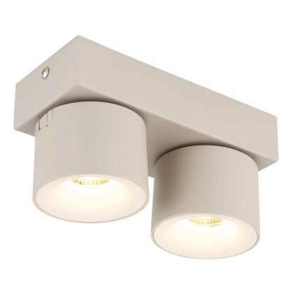 Globo - LED suunavalgusti 2xLED/6W/230V