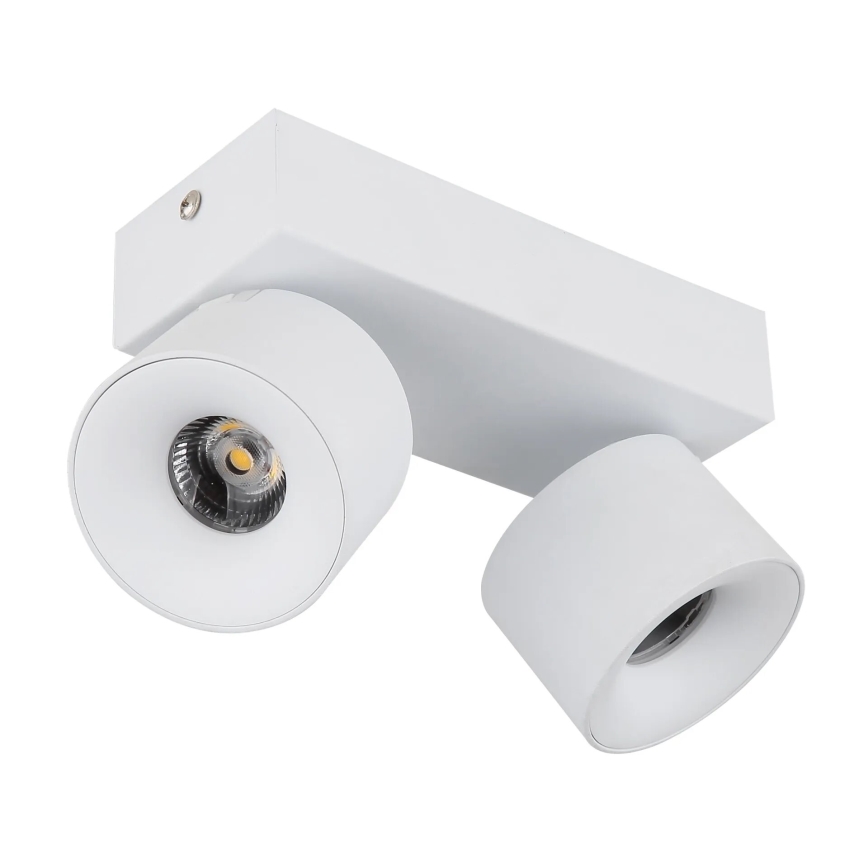 Globo - LED Kohtvalgusti 2xLED/6W/230V valge