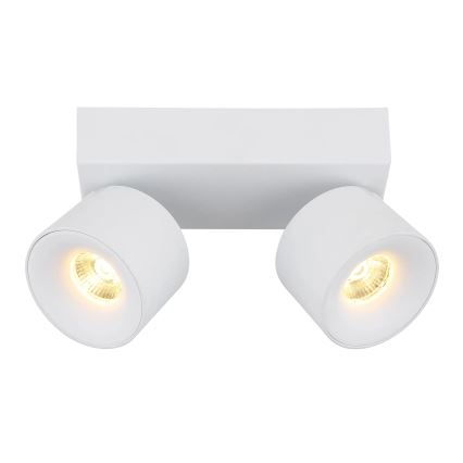 Globo - LED Kohtvalgusti 2xLED/6W/230V valge