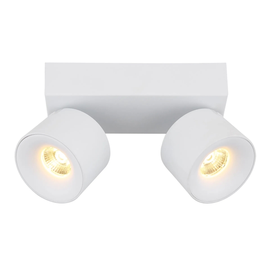 Globo - LED Kohtvalgusti 2xLED/6W/230V valge
