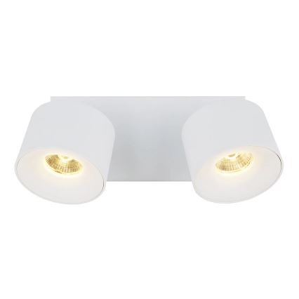 Globo - LED Kohtvalgusti 2xLED/6W/230V valge