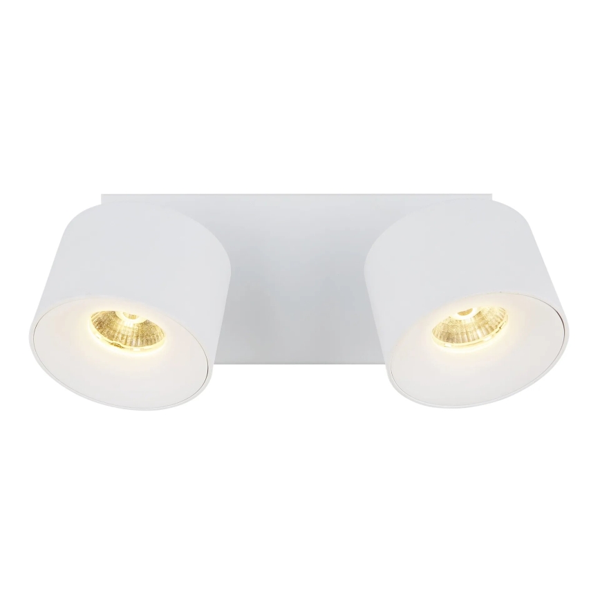 Globo - LED Kohtvalgusti 2xLED/6W/230V valge