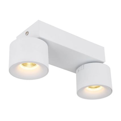 Globo - LED Kohtvalgusti 2xLED/6W/230V valge