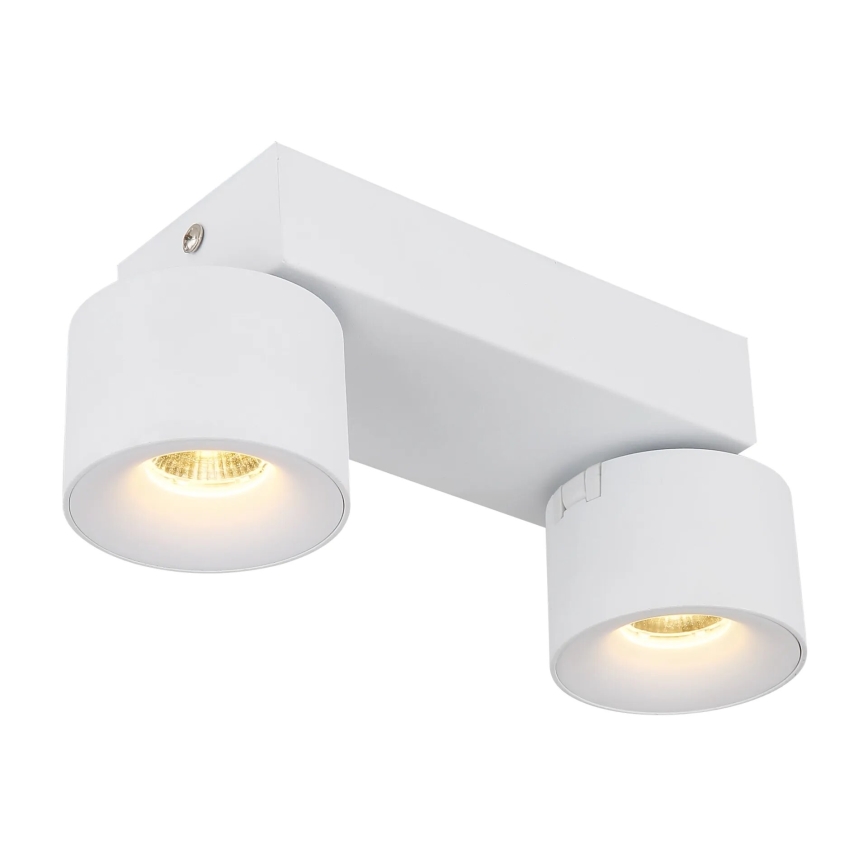 Globo - LED Kohtvalgusti 2xLED/6W/230V valge