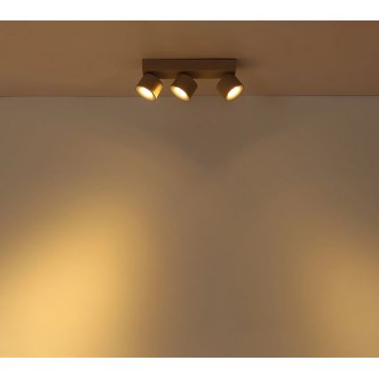 Globo - LED suunavalgusti 3xLED/6W/230V
