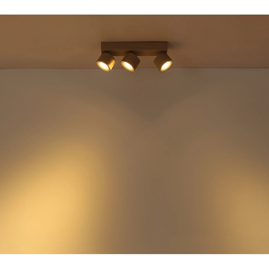 Globo - LED suunavalgusti 3xLED/6W/230V