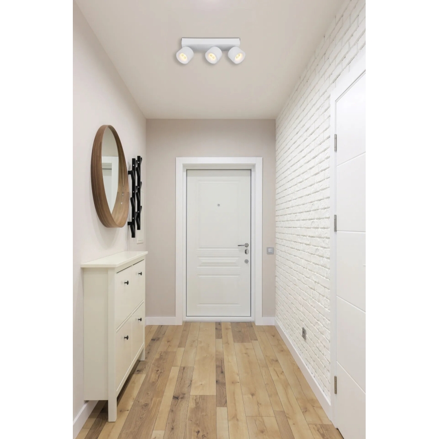 Globo - LED Kohtvalgusti 3xLED/6W/230V valge