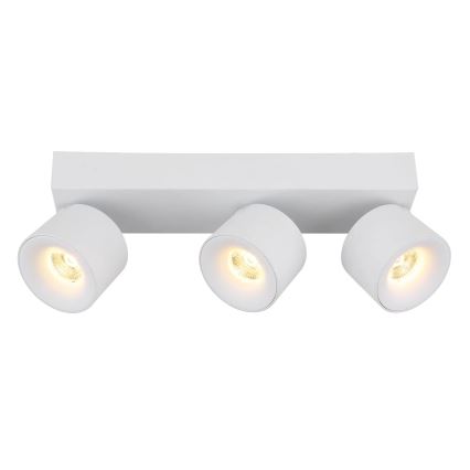 Globo - LED Kohtvalgusti 3xLED/6W/230V valge