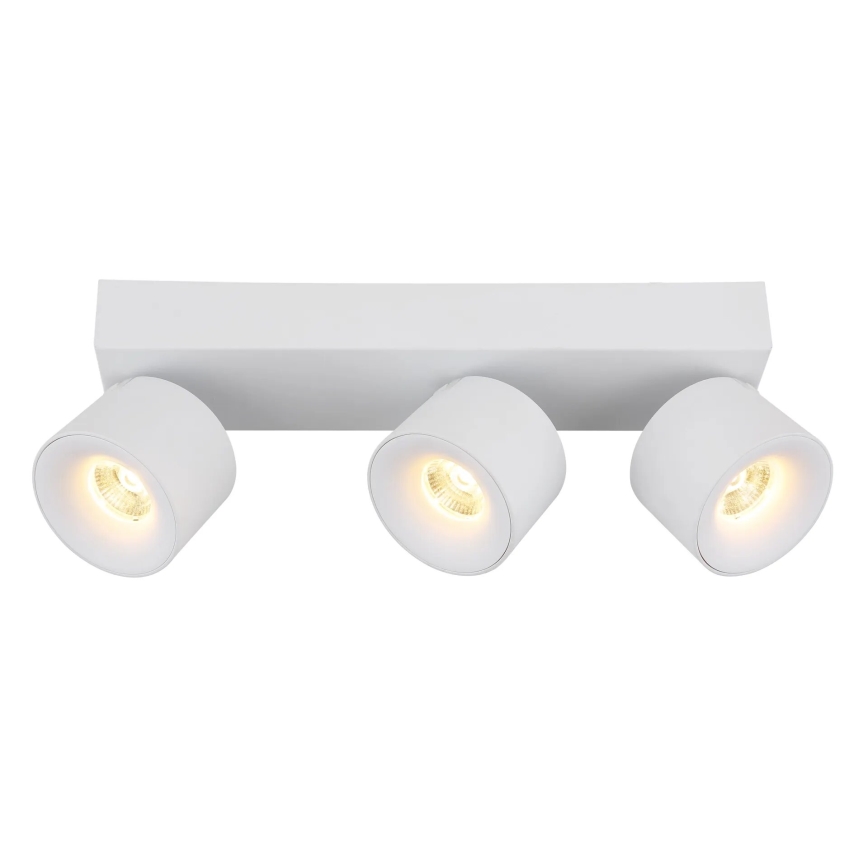 Globo - LED Kohtvalgusti 3xLED/6W/230V valge