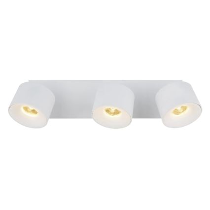 Globo - LED Kohtvalgusti 3xLED/6W/230V valge