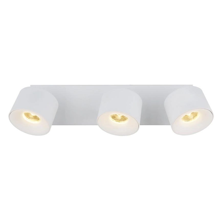 Globo - LED Kohtvalgusti 3xLED/6W/230V valge