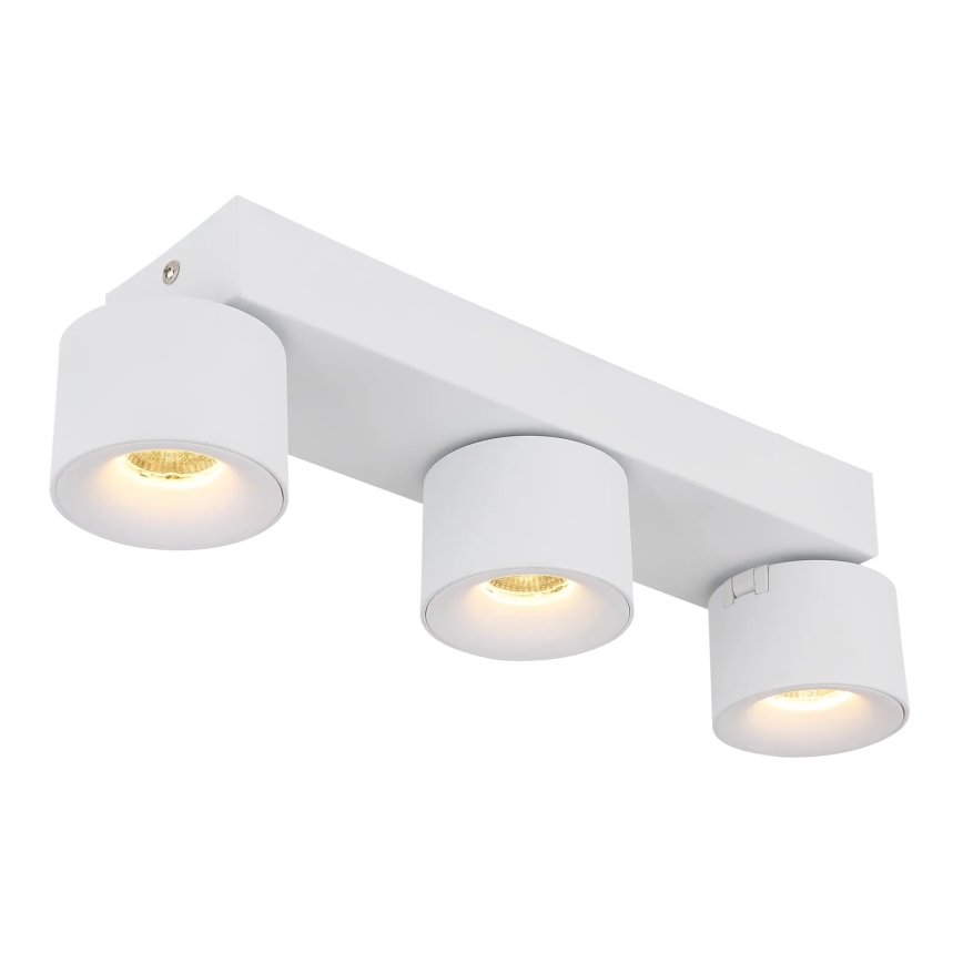 Globo - LED Kohtvalgusti 3xLED/6W/230V valge