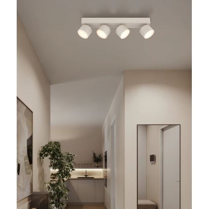 Globo - LED suunavalgusti 4xLED/6W/230V
