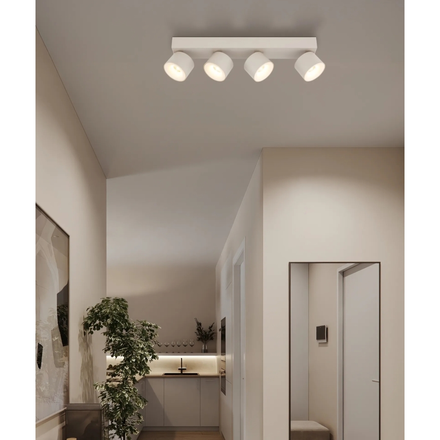 Globo - LED suunavalgusti 4xLED/6W/230V