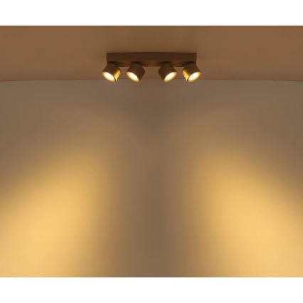 Globo - LED suunavalgusti 4xLED/6W/230V