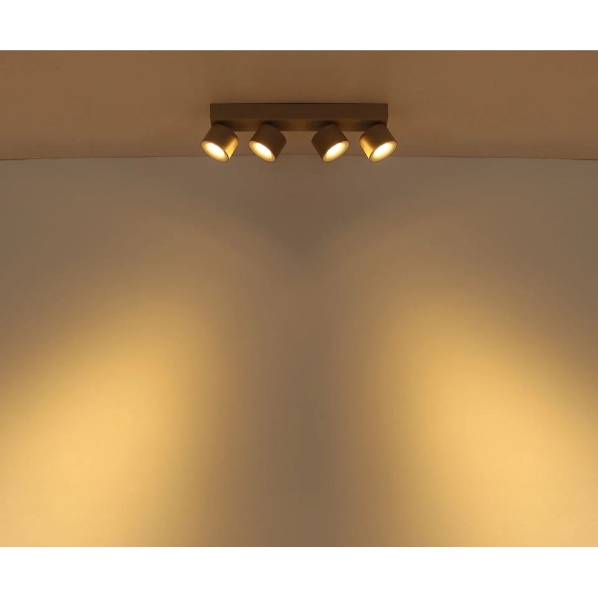 Globo - LED suunavalgusti 4xLED/6W/230V