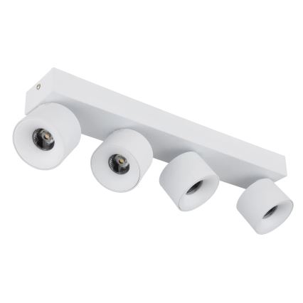 Globo - LED Kohtvalgusti 4xLED/6W/230V valge