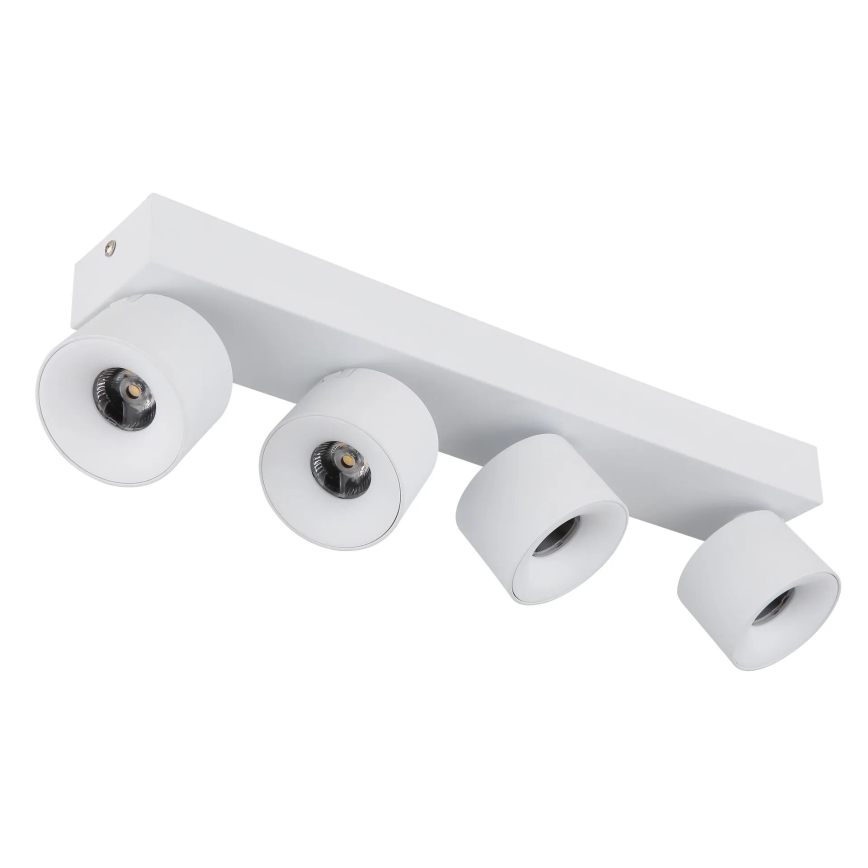 Globo - LED Kohtvalgusti 4xLED/6W/230V valge