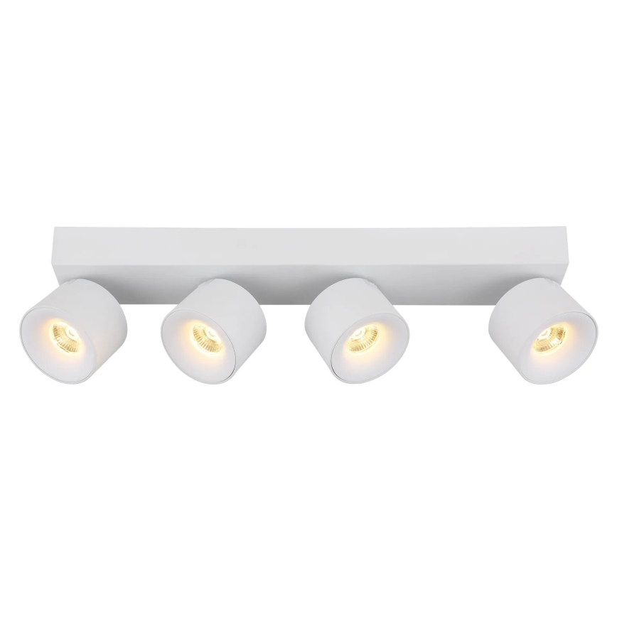 Globo - LED Kohtvalgusti 4xLED/6W/230V valge