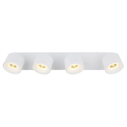 Globo - LED Kohtvalgusti 4xLED/6W/230V valge