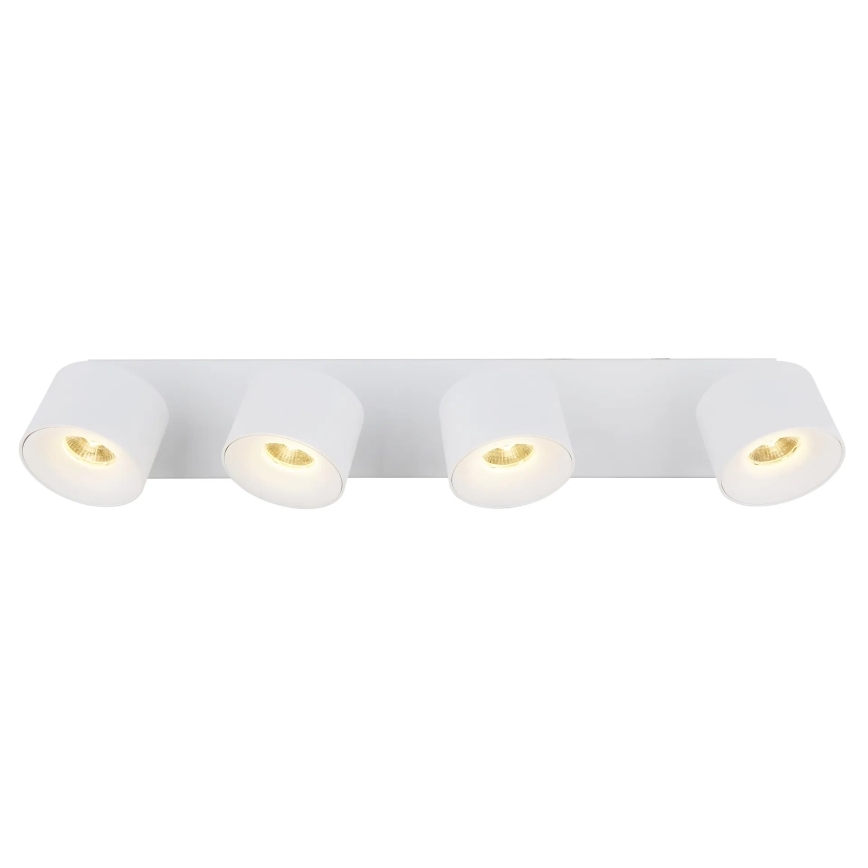Globo - LED Kohtvalgusti 4xLED/6W/230V valge