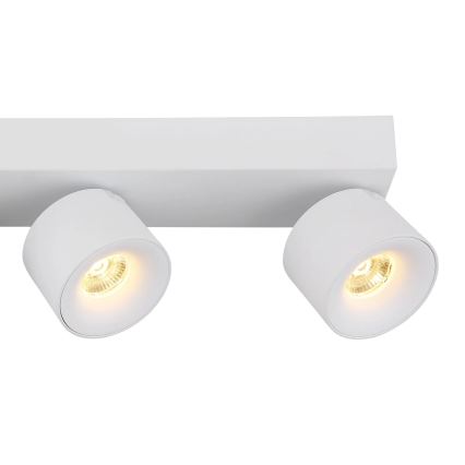 Globo - LED Kohtvalgusti 4xLED/6W/230V valge