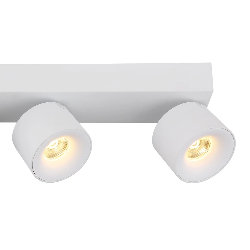 Globo - LED Kohtvalgusti 4xLED/6W/230V valge