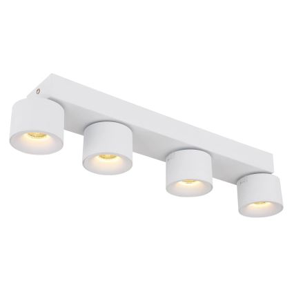Globo - LED Kohtvalgusti 4xLED/6W/230V valge
