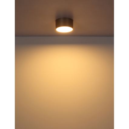 Globo - LED laelamp LED/12W/230V läbimõõt 15 cm 3000K beež