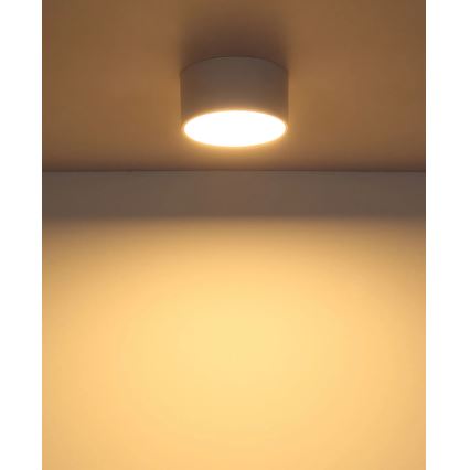 Globo - LED laevalgusti LED/12W/230V 3000K läbimõõt 15 cm valge