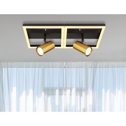 Globo - LED Kohtvalgusti 2xGU10/5W/230V + LED/22W/230V