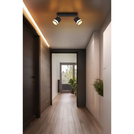 Globo - LED Kohtvalgusti 2xGX53/7W/230V 3000K