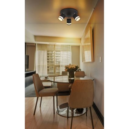 Globo - LED Kohtvalgusti 3xGX53/7W/230V 3000K