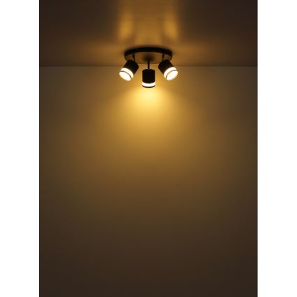 Globo - LED Kohtvalgusti 3xGX53/7W/230V 3000K