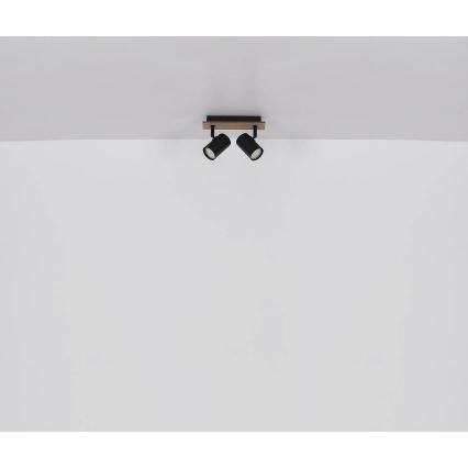 Globo - Kohtvalgusti 2xGU10/35W/230V