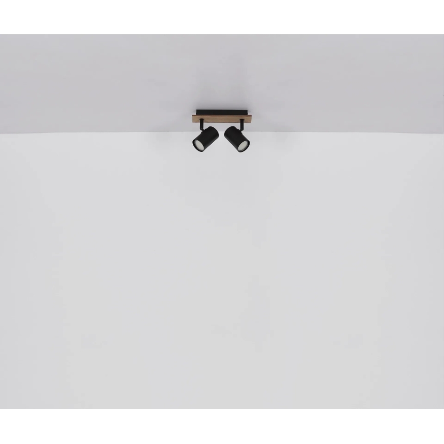 Globo - Kohtvalgusti 2xGU10/35W/230V