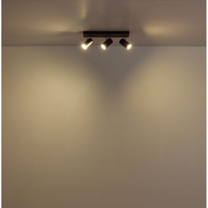 Globo - Kohtvalgusti 3xGU10/25W/230V must
