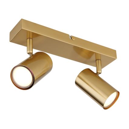Globo - Kohtvalgusti 2xGU10/35W/230V kuldne