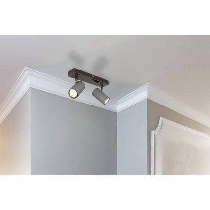 Globo - Kohtvalgusti 2xGU10/25W/230V