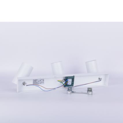 Globo - Kohtvalgusti 3xGU10/35W/230V valge