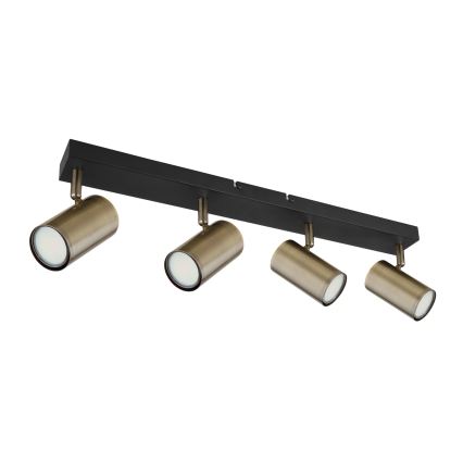 Globo - Kohtvalgusti 4xGU10/35W/230V must/messing