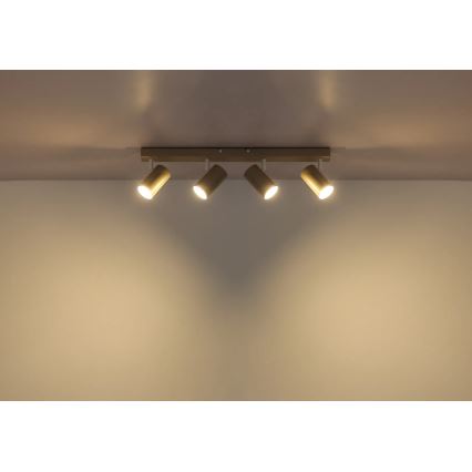 Globo - Suunavalgusti 4xGU10/35W/230V