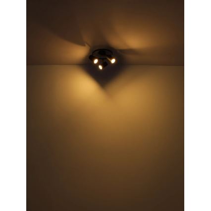 Globo - Kohtvalgusti 3xGU10/25W/230V must