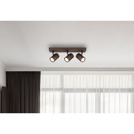 Globo - Kohtvalgusti 3xGU10/25W/230V pronks